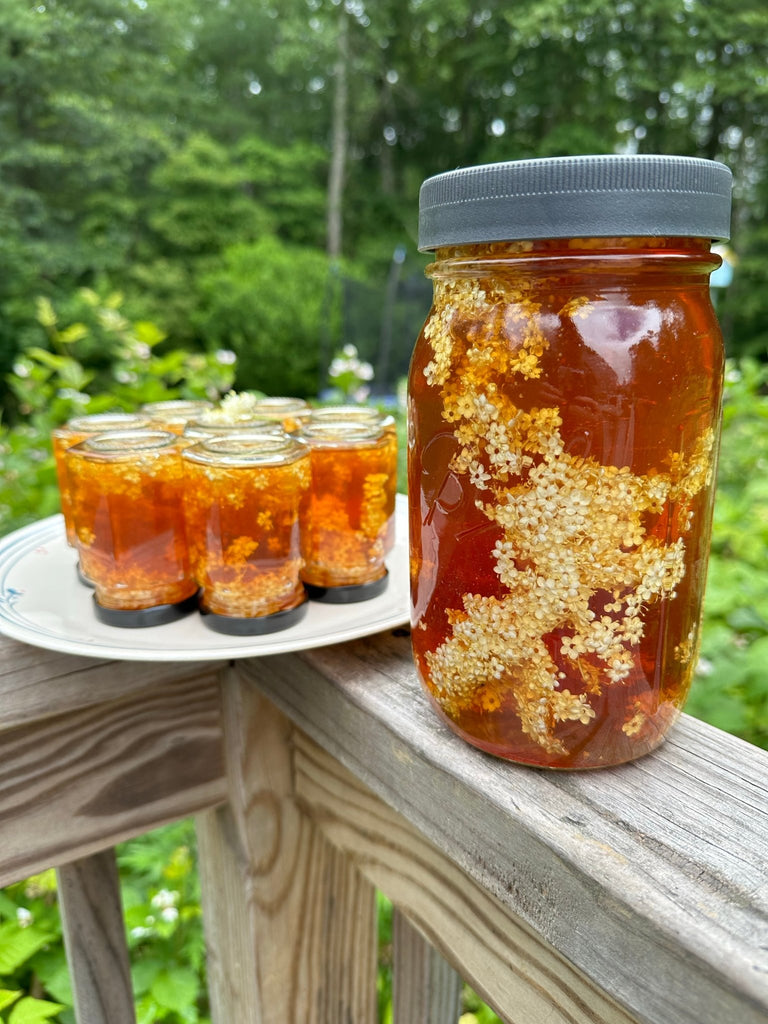 Herb-Infused Honey - North Moon Herbals