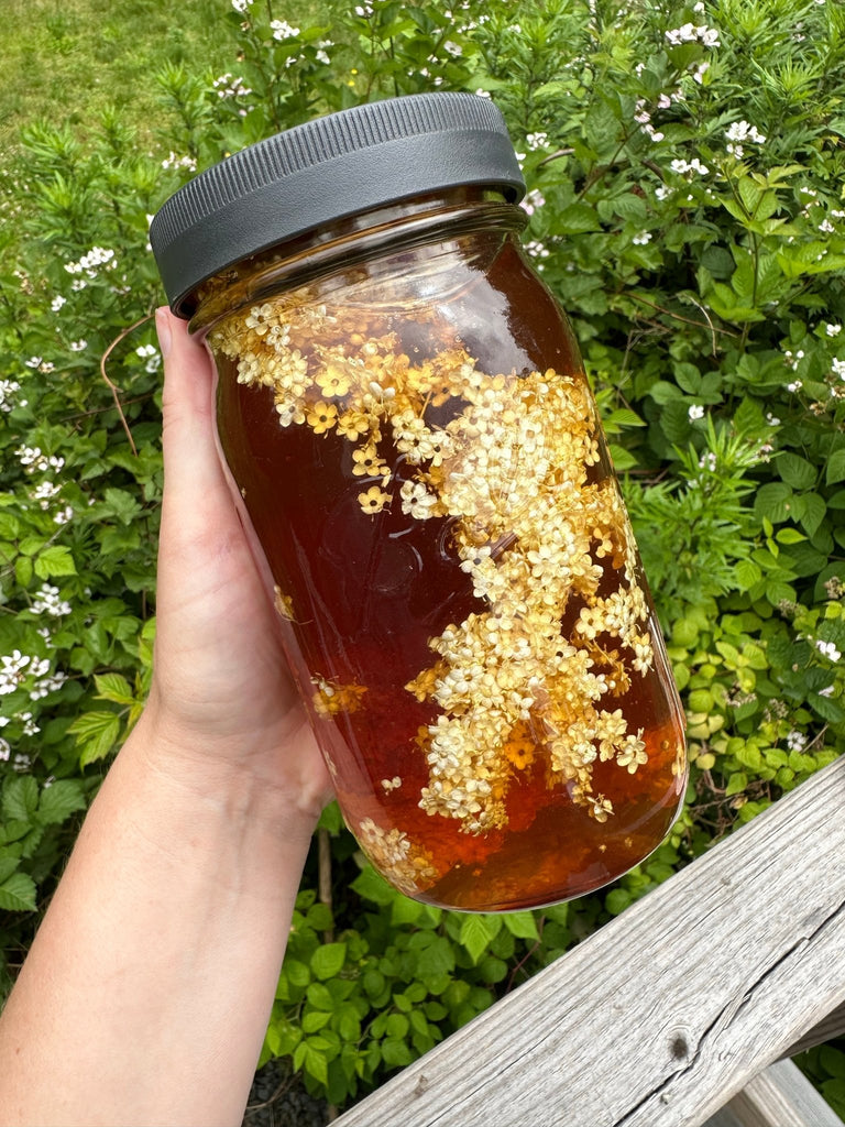 Herb-Infused Honey - North Moon Herbals